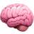 AI & Automation