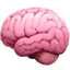 AI & Automation