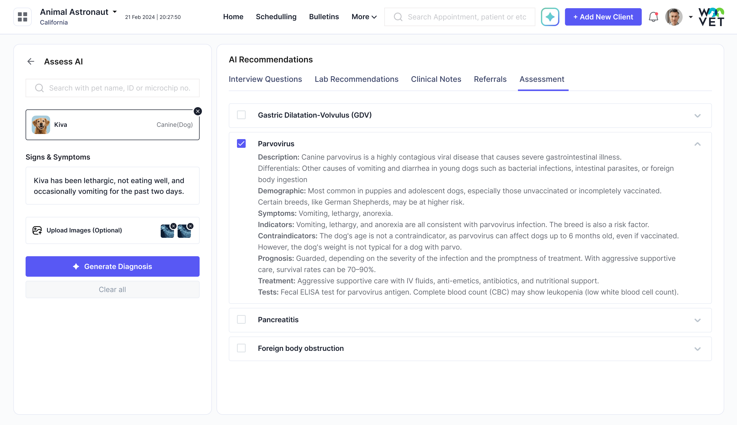 Feature Assess Ai