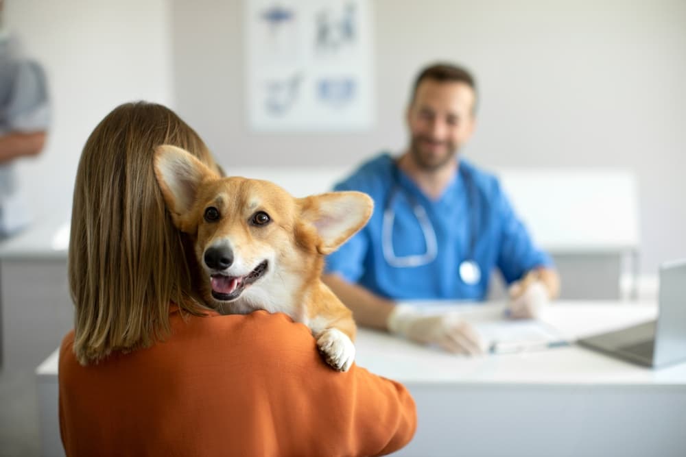 We watched the industry evolve. Pet parents became more involved, and expectations grew.