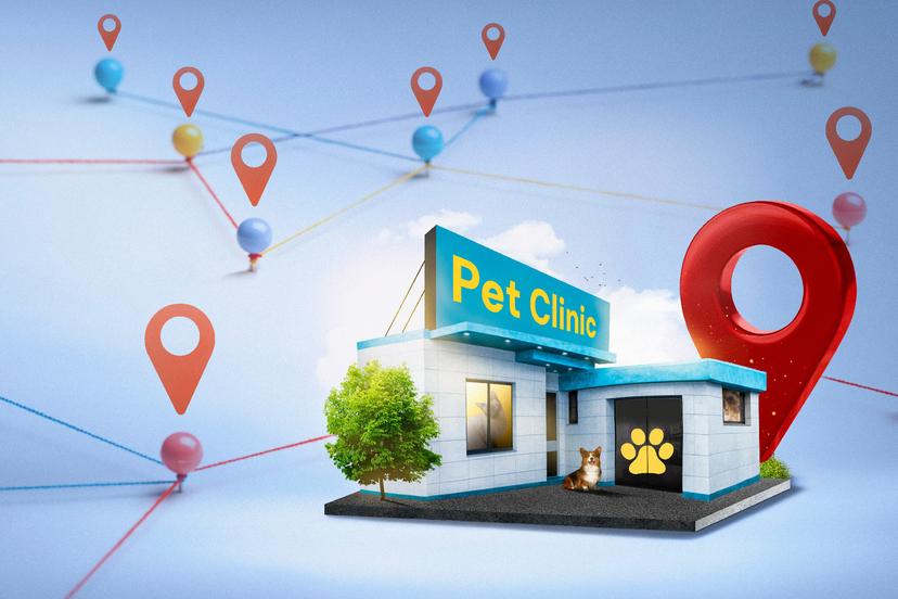 Best Practices in Multi-Location Veterinary Practice Management