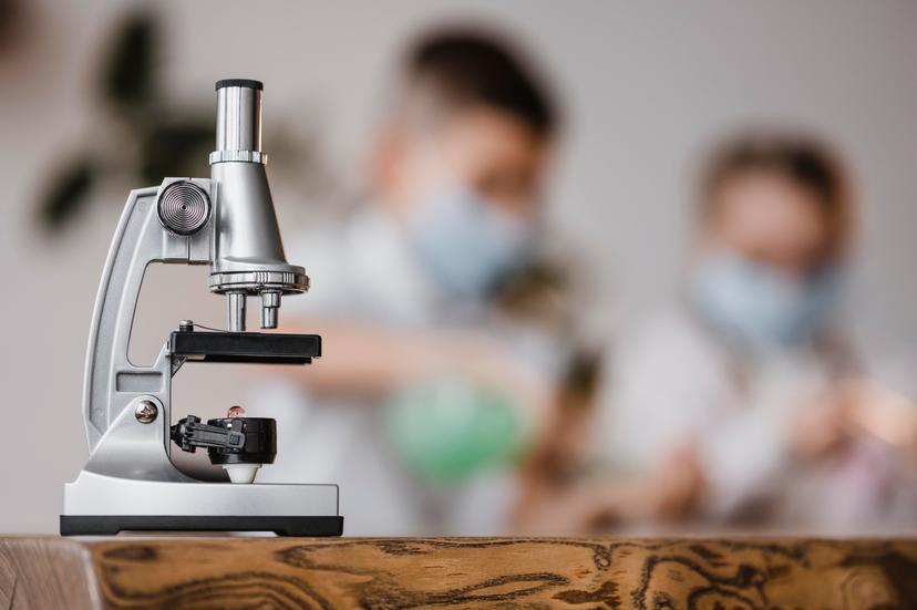 Veterinary Equipment List: Setting Up Your Clinic