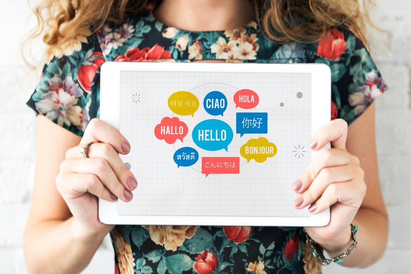 Breaking Language Barriers in Veterinary Care with Woovet's Multilingual Support