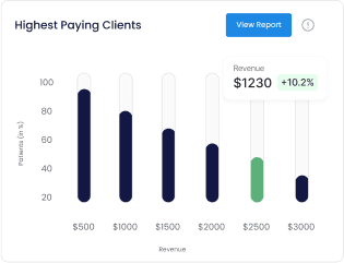 CEO Dashboard
