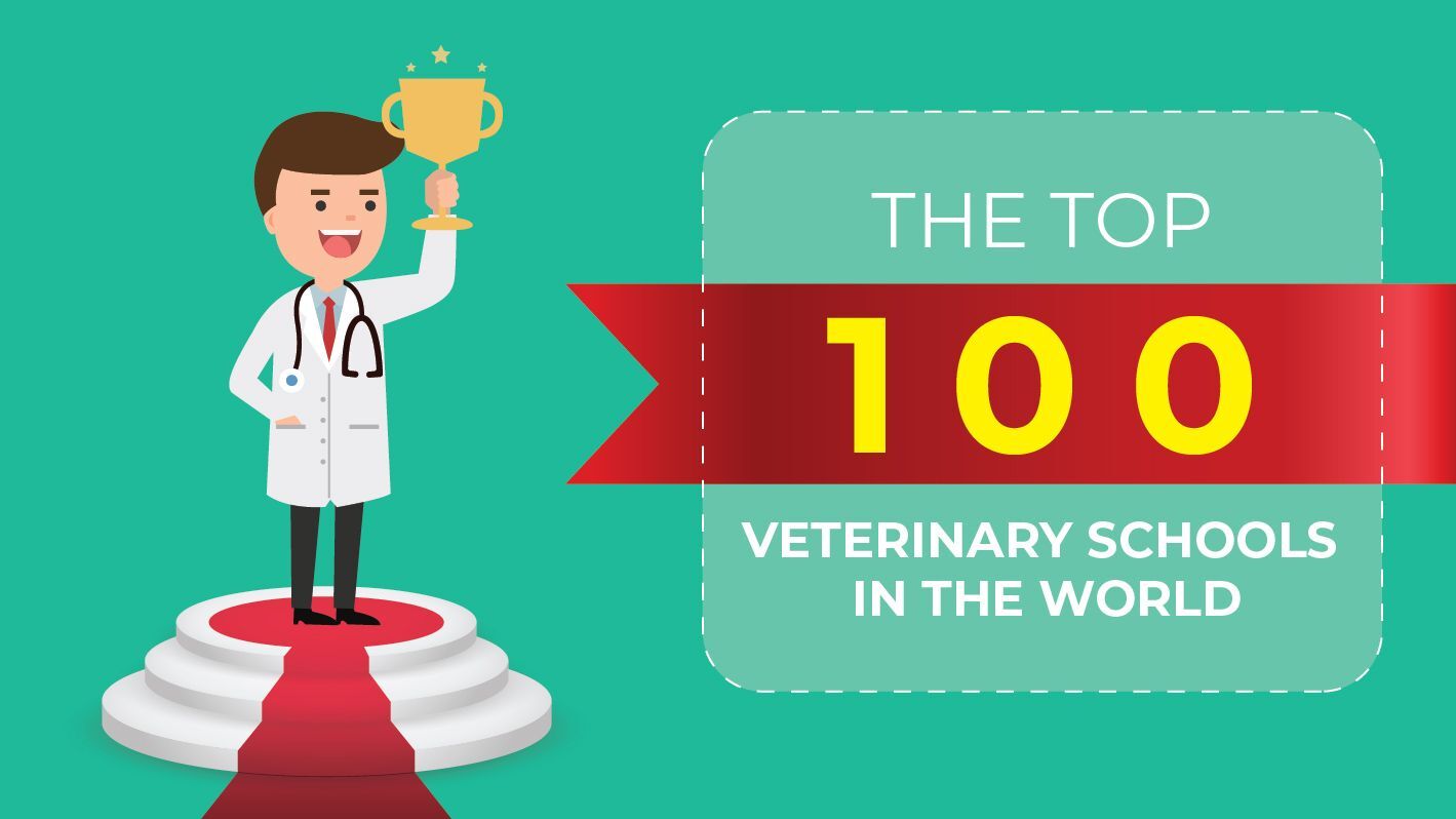 How to Choose the Right Veterinary School — A Global Guide for Future Veterinarians