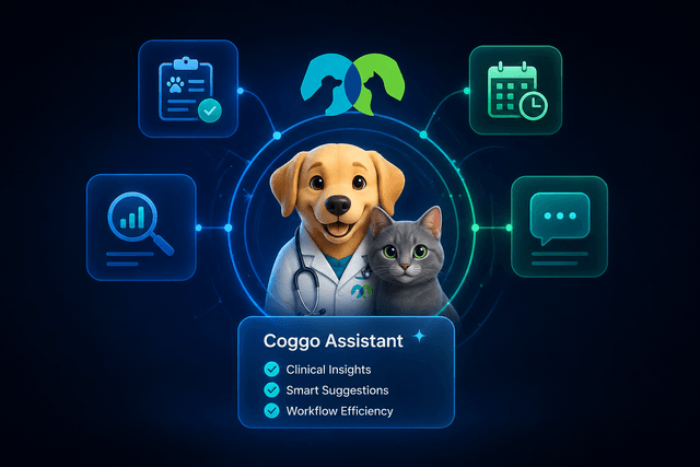 Woovet Coggo Assistant: Supporting Veterinary Decisions and Workflow Efficiency